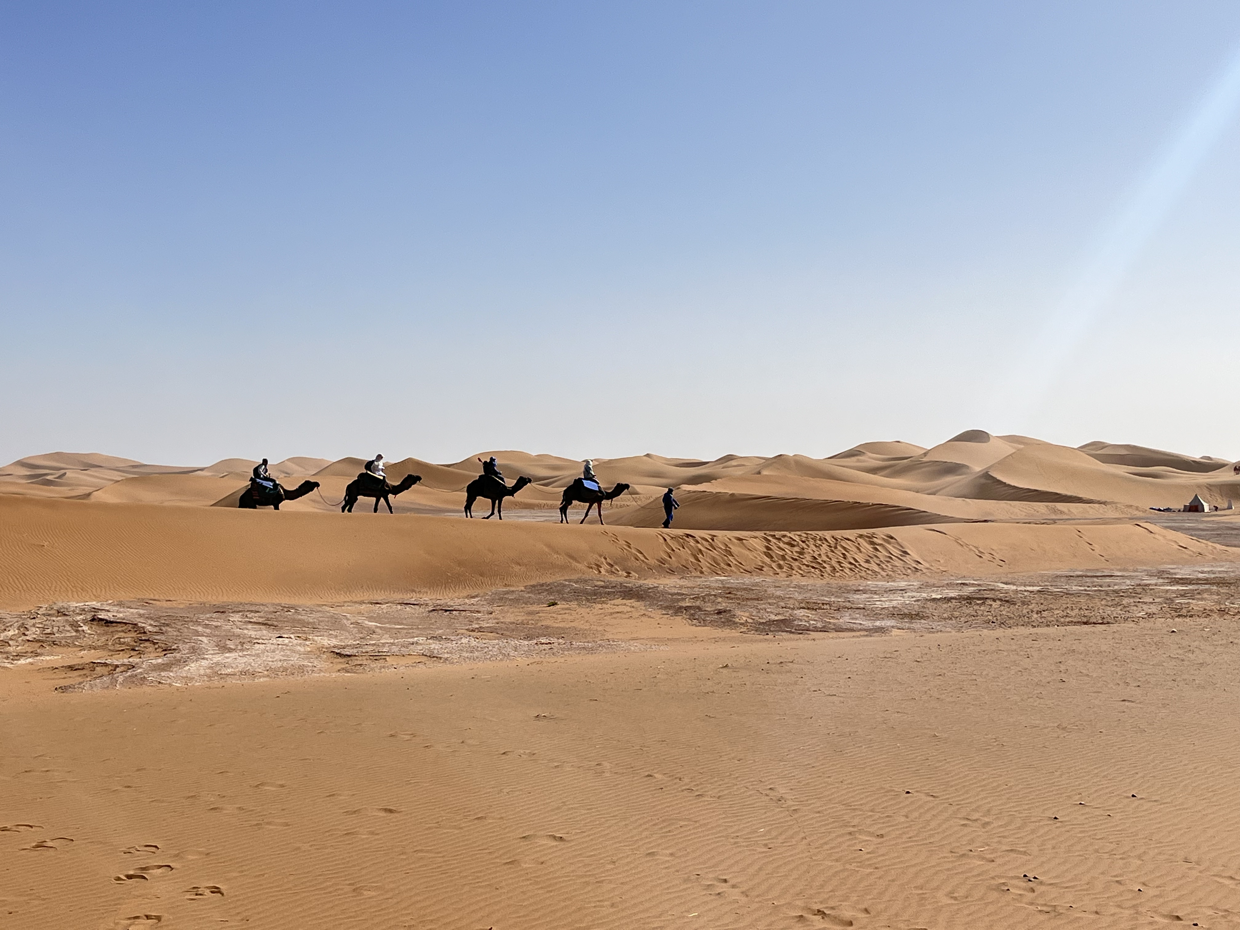 Touristenkarawane beim Kameltrekking in der Sahara